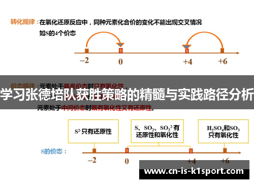 学习张德培队获胜策略的精髓与实践路径分析