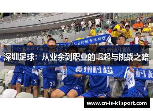 深圳足球：从业余到职业的崛起与挑战之路